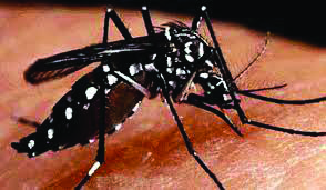 Amid dengue spread, JU registrar attends meet with KMC