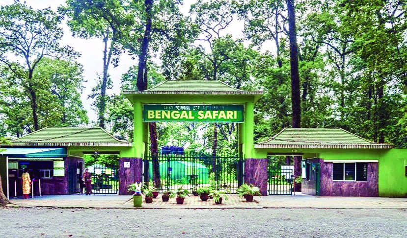 Bengal Safari Park draws record 1.26 lakh visitors in 8 months Bengal Safari Park draws record 1.26 lakh visitors in 8 months