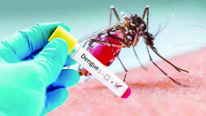 ‘Take up extensive awareness campaigns to prevent dengue’