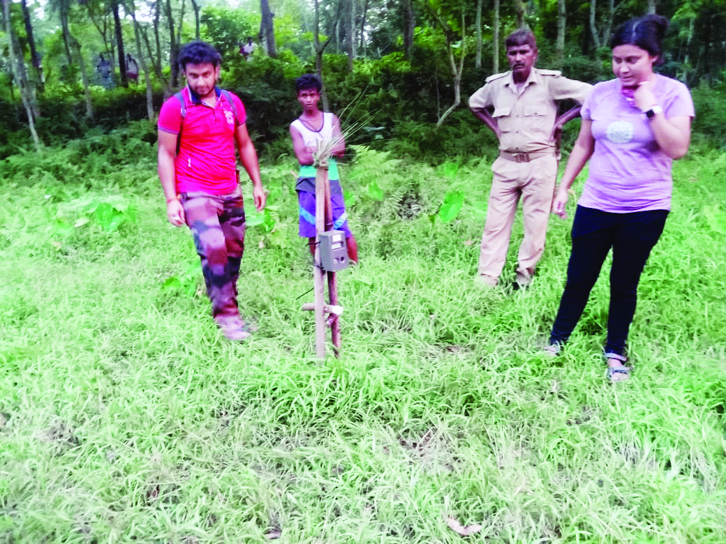 Alipurduar: Forest dept installs trap cameras to capture leopard Alipurduar: Forest dept installs trap cameras to capture leopard