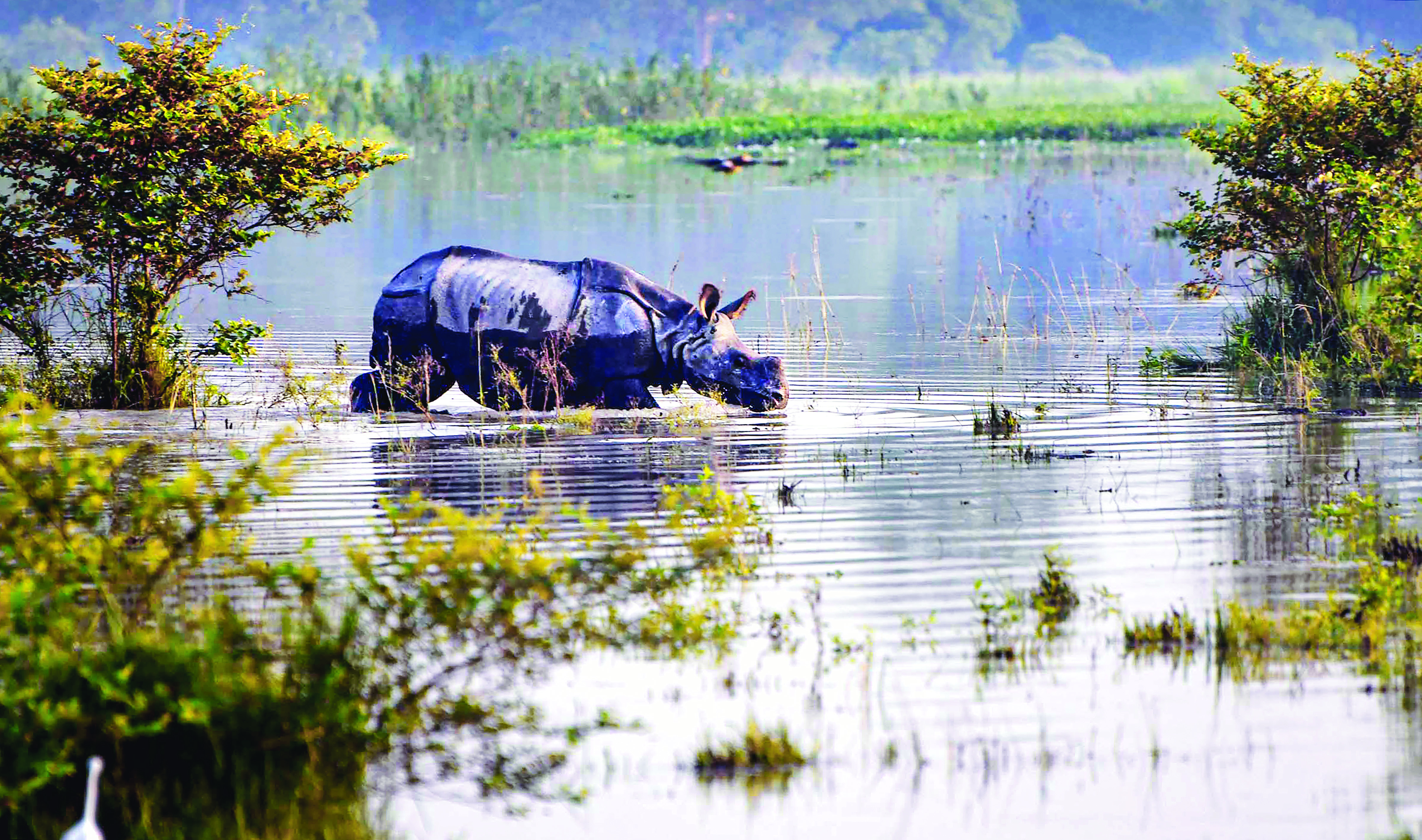 Assam flood situation grim, over four lakh people affected