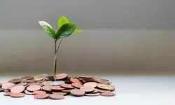 Greening the state finances