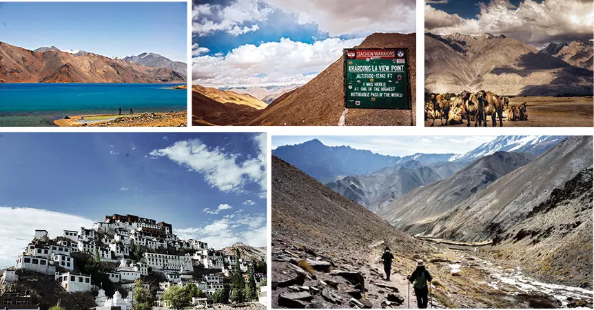 10 Fun things to do in Nubra Valley, Ladakh ~ The Land of Wanderlust