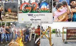 Talking Shop: Hung humans of sorts