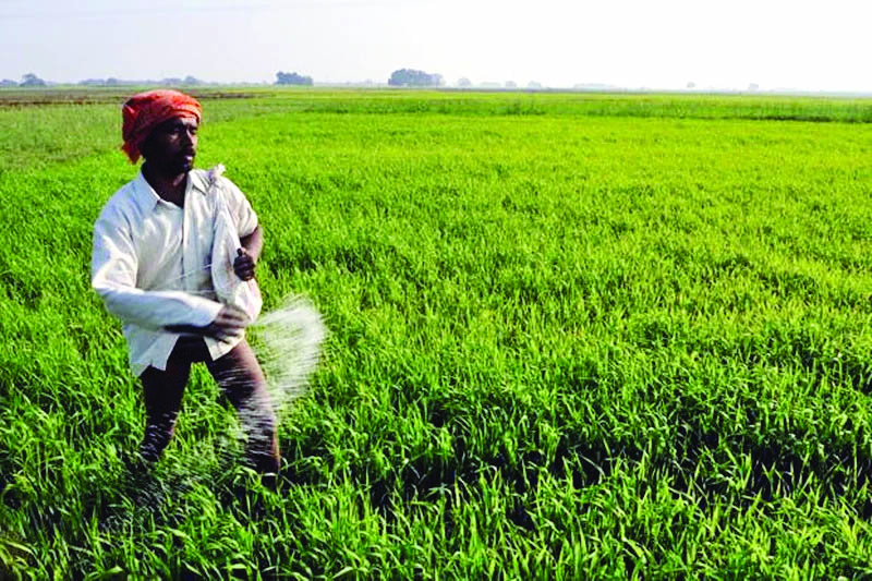 62K farmers enrolled under crop insurance scheme