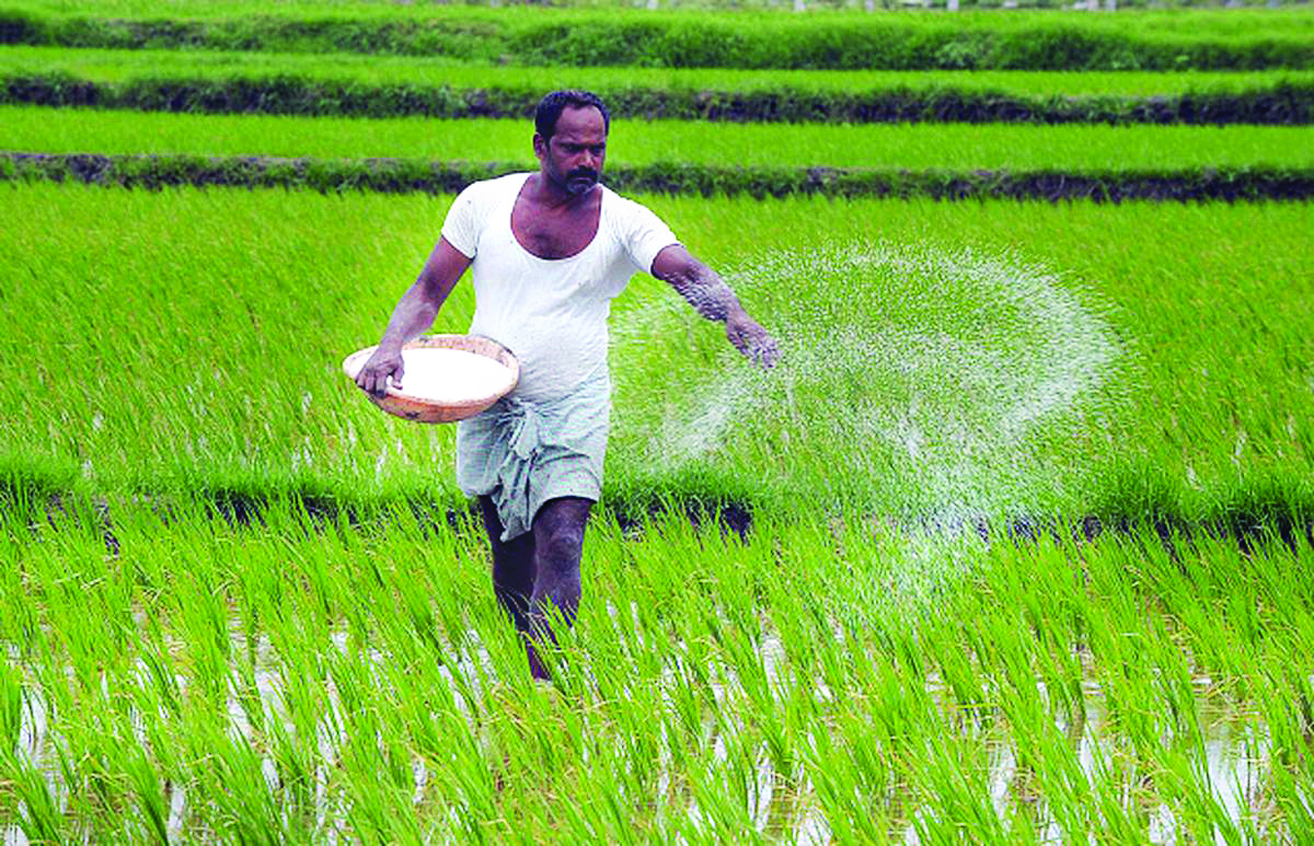 ‘Ensure proper supply of fertilisers ahead of Rabi season’