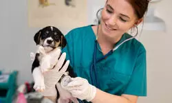Veterinary Science: Paw-sitively promising Veterinary Science: Paw-sitively promising
