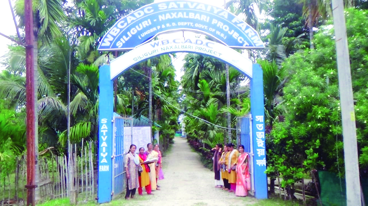 Farm in Naxalbari provides employment to about 10,000 people in rural areas
