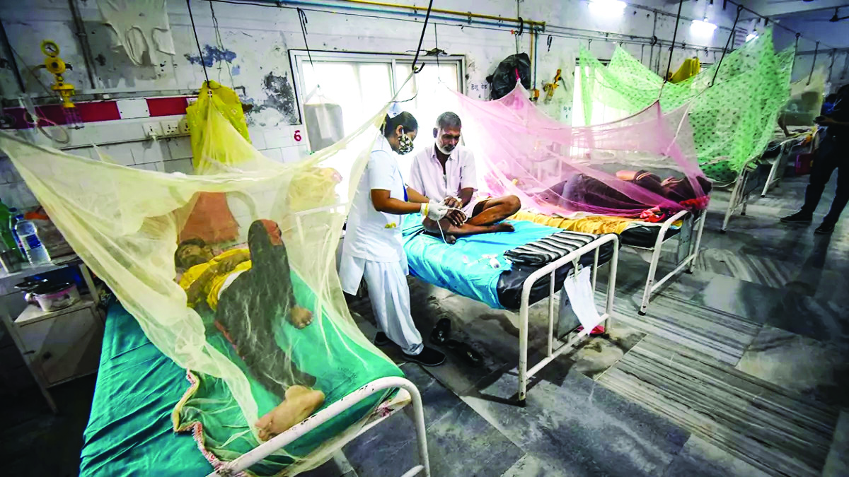 Dengue cases surge in Jalpaiguri
