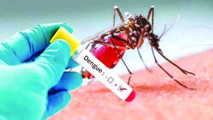 CMOH visits dengue-prone village in Raiganj, opens fever clinic CMOH visits dengue-prone village in Raiganj, opens fever clinic