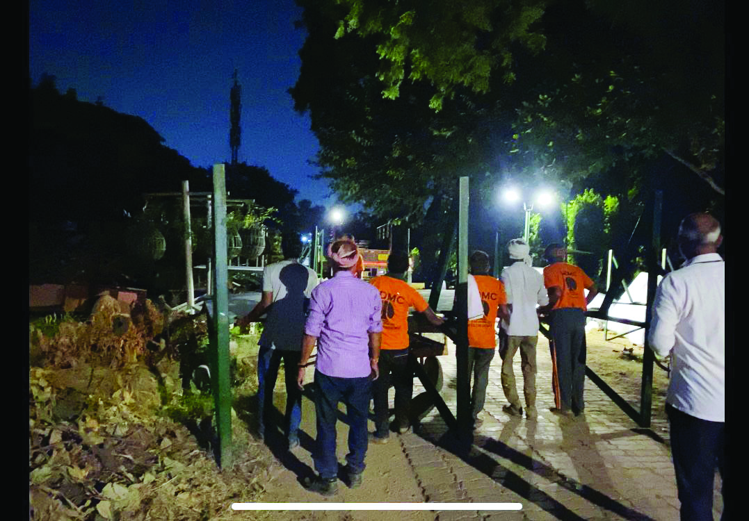 V-C: NDMC decorating trees, installing G20 floral boards