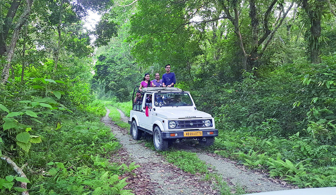Jaldapara Nat’l Park gears up   for ‘Safe Tourist Season’