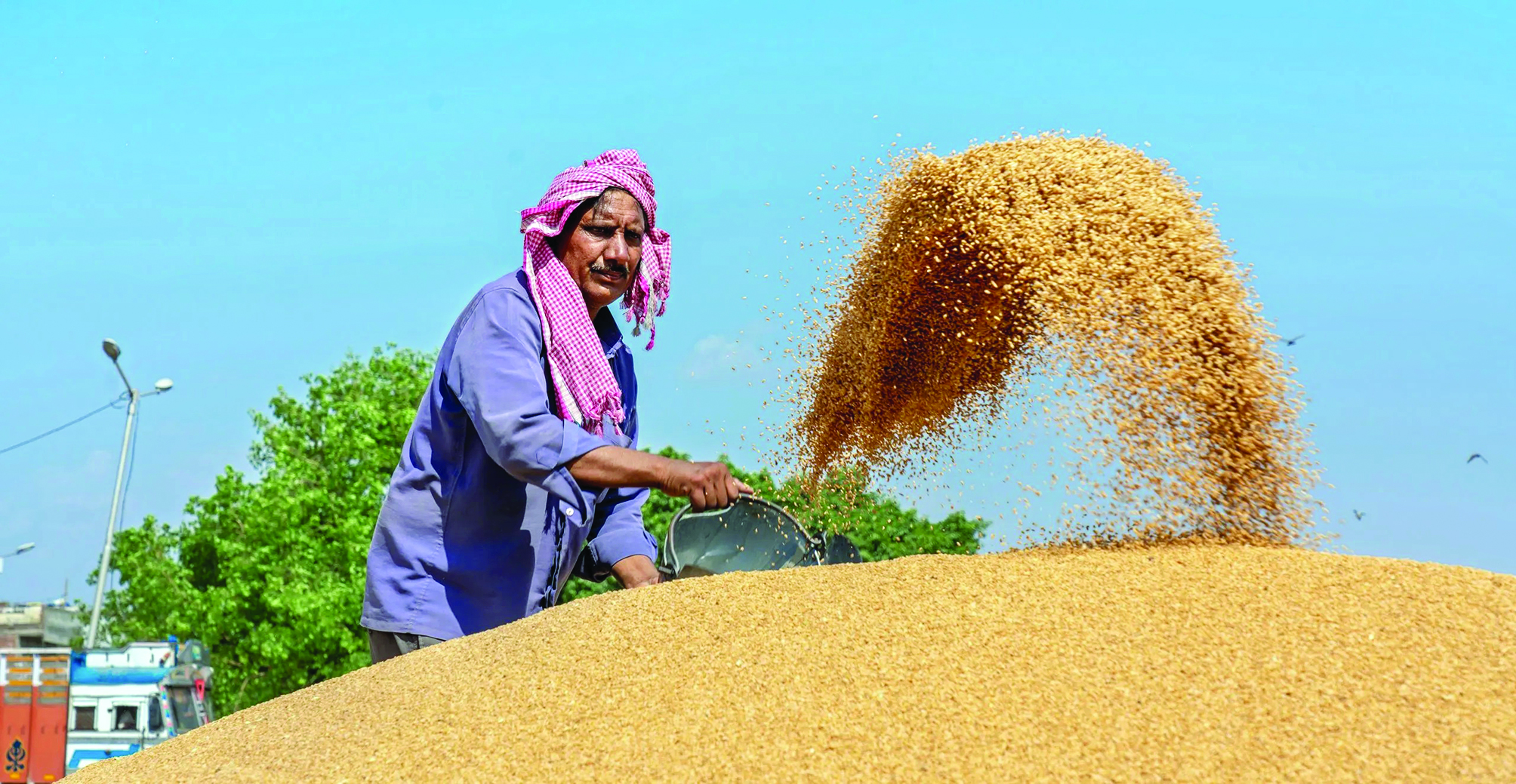 FCI sells 1.66L tonnes wheat, only 17K tonnes rice via 11th e-auction