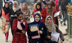 Scholarly pursuit Scholarly pursuit