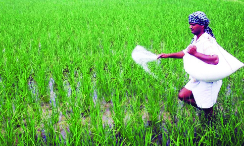 Mandaviya urges farmers to reduce use of chemicals fertilisers by 20% in rabi season