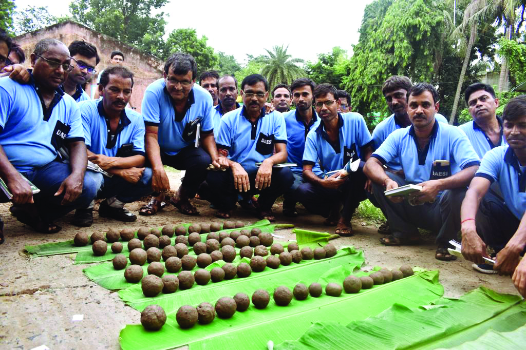 State adopts seed ball technique for afforestation in wastelands