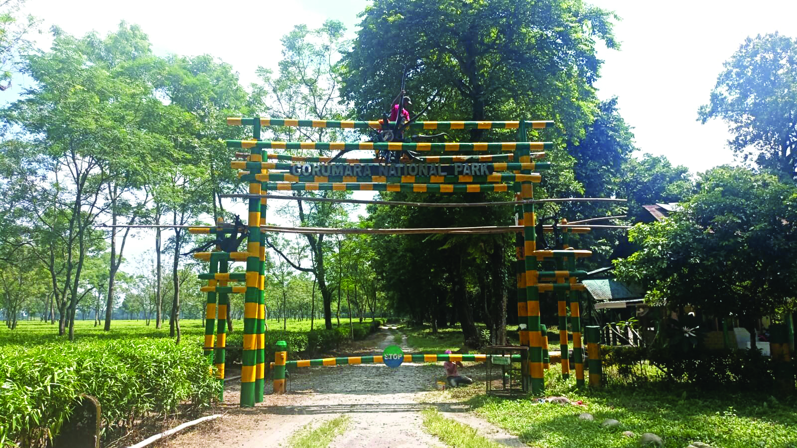 Now, awareness workshops for tourists visiting Gorumara Forest