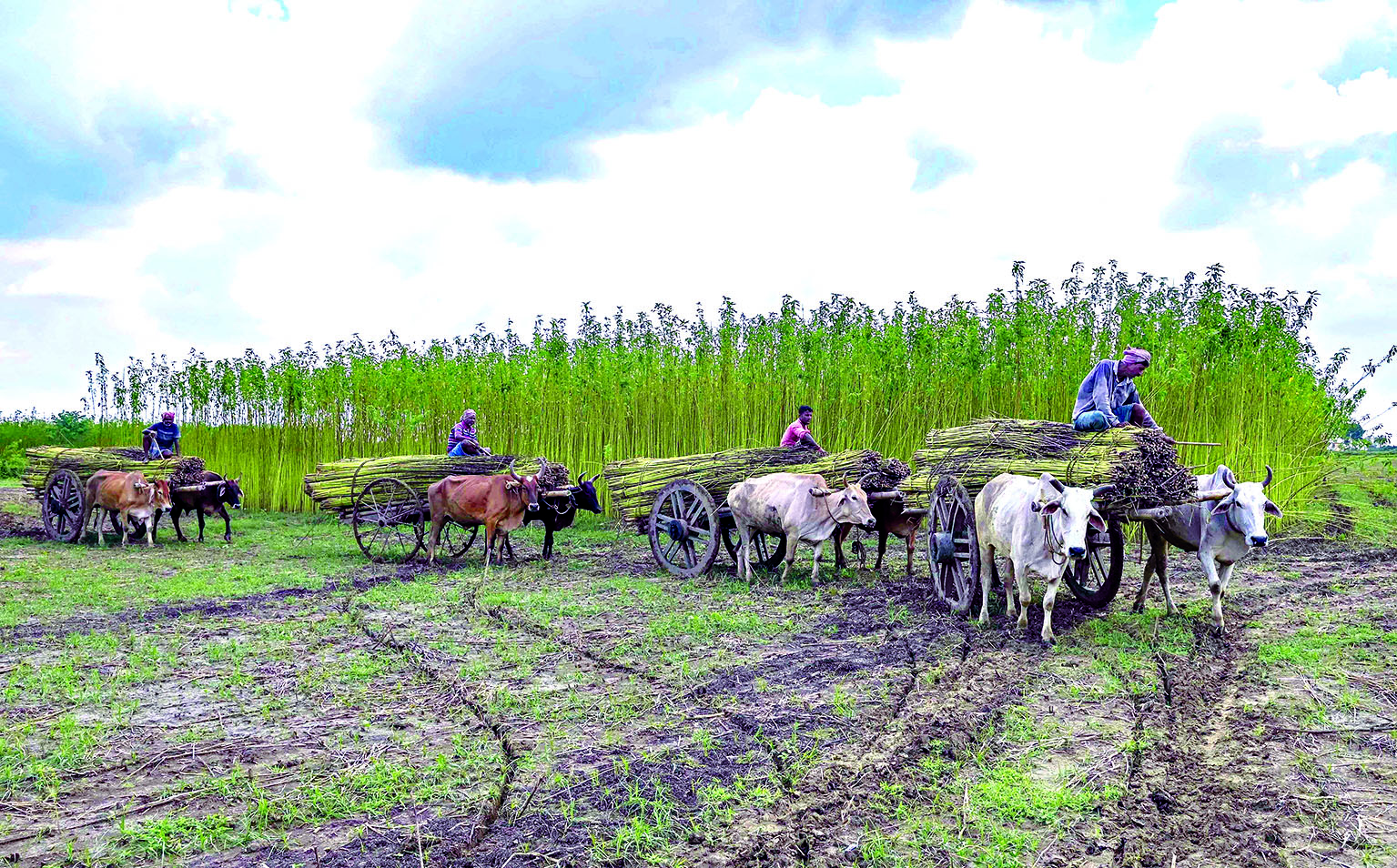 ‘685 farmers suicide reported in Marathwada so far in 2023, Agri Min’s home dist on top’