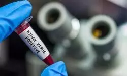 NIV teams to arrive in Kerala following Nipah confirmation NIV teams to arrive in Kerala following Nipah confirmation