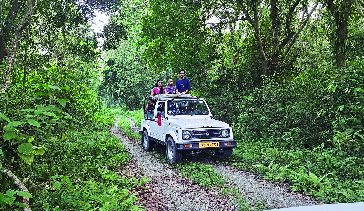 Hike in rates: Jungle trips to cost more from now Hike in rates: Jungle trips to cost more from now