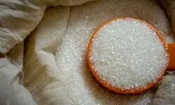 Ahead of festive season, Nepal set to import 20,000 MT sugar from India Ahead of festive season, Nepal set to import 20,000 MT sugar from India