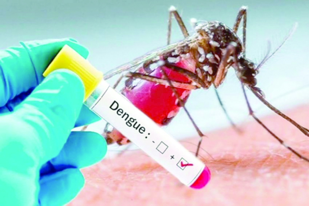 Dengue situation presently ‘unsatisfactory’, says Mayor