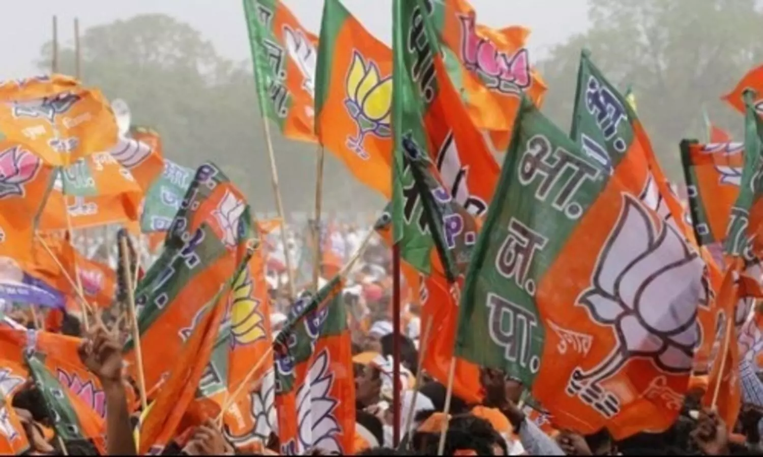 Ahead of LS elections, BJP undertakes major organisational overhaul in UP