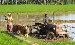 Talking Shop: Lest I buy a tractor