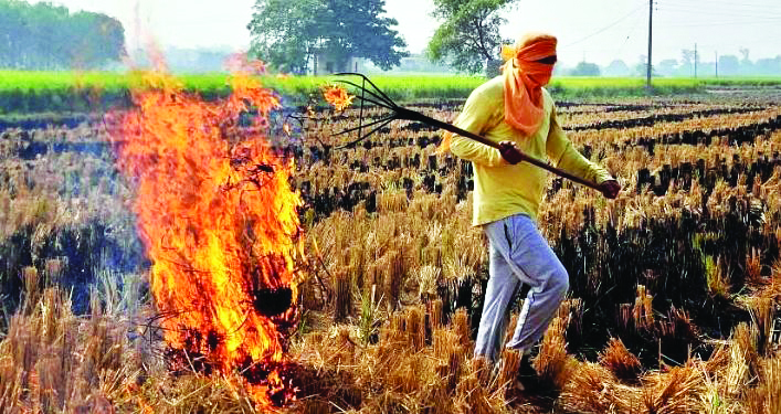 Delhi govt reaches out to Punjab, Haryana to combat stubble burning