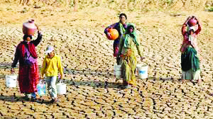 Culture, polity, economy decide society’s future in changing climate crises: Study Culture, polity, economy decide society’s future in changing climate crises: Study