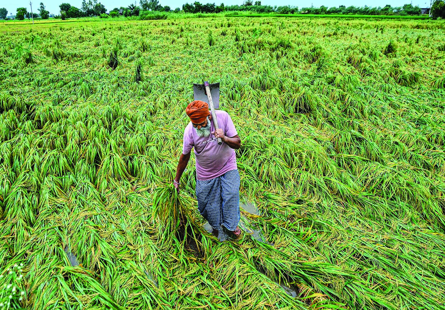 ADB lowers India’s GDP projection for FY23 to 6.3%
