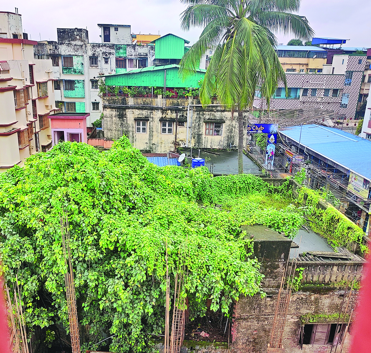 3 people ‘die of dengue’ while undergoing treatment