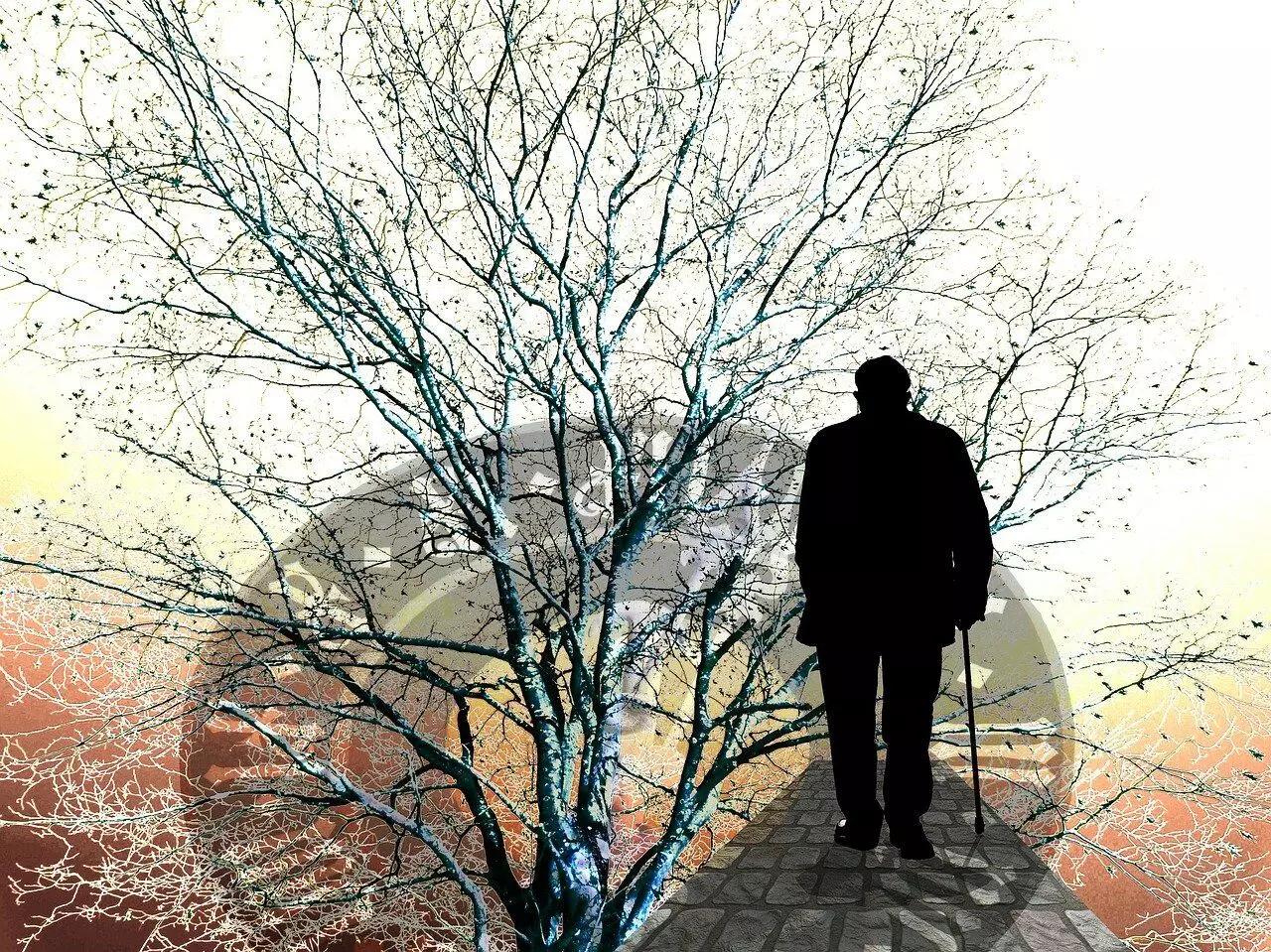 Fortifying cognitive resilience Fortifying cognitive resilience