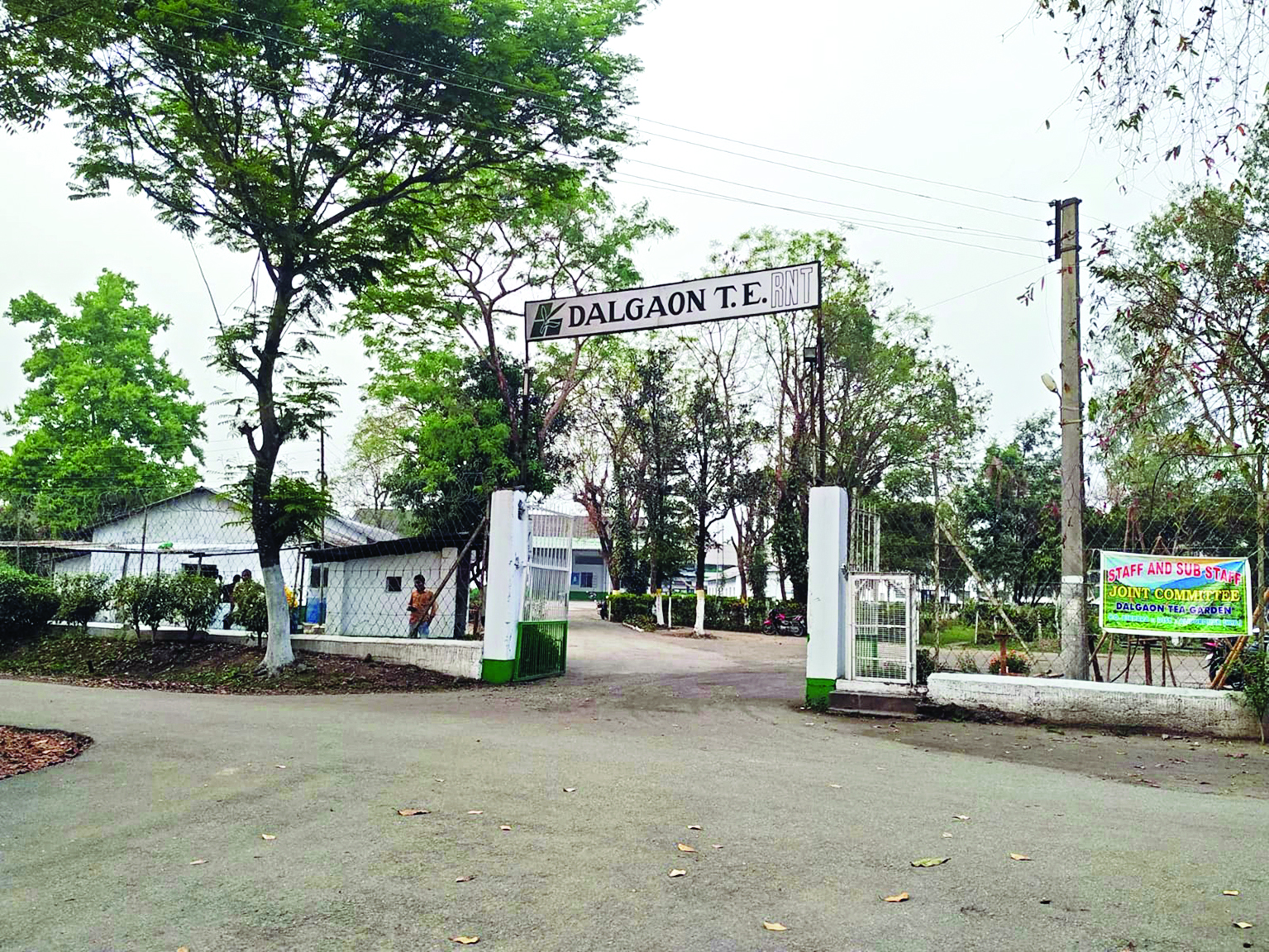 Dalgaon Tea Estate becomes the first to announce bonus this year Dalgaon Tea Estate becomes the first to announce bonus this year