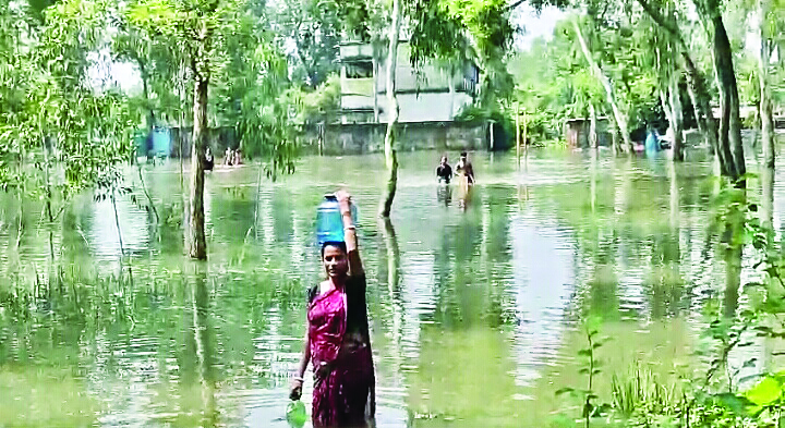 Flood situation improves in South Dinajpur district Flood situation improves in South Dinajpur district