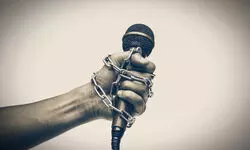 Protecting the Fourth Estate