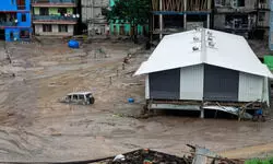 Tragic fault lines Tragic fault lines