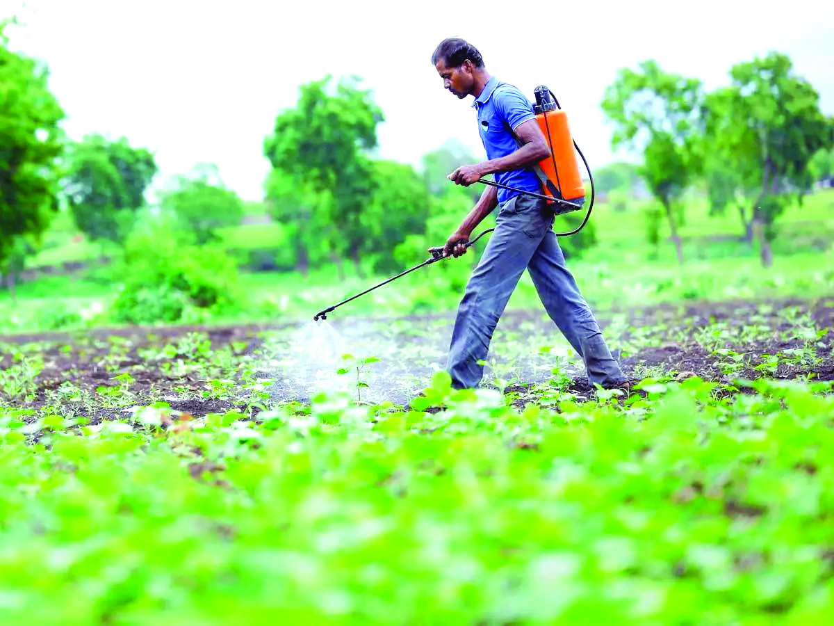 Govt bans 11 hazardous insecticides, nullifies their registration certificates Govt bans 11 hazardous insecticides, nullifies their registration certificates