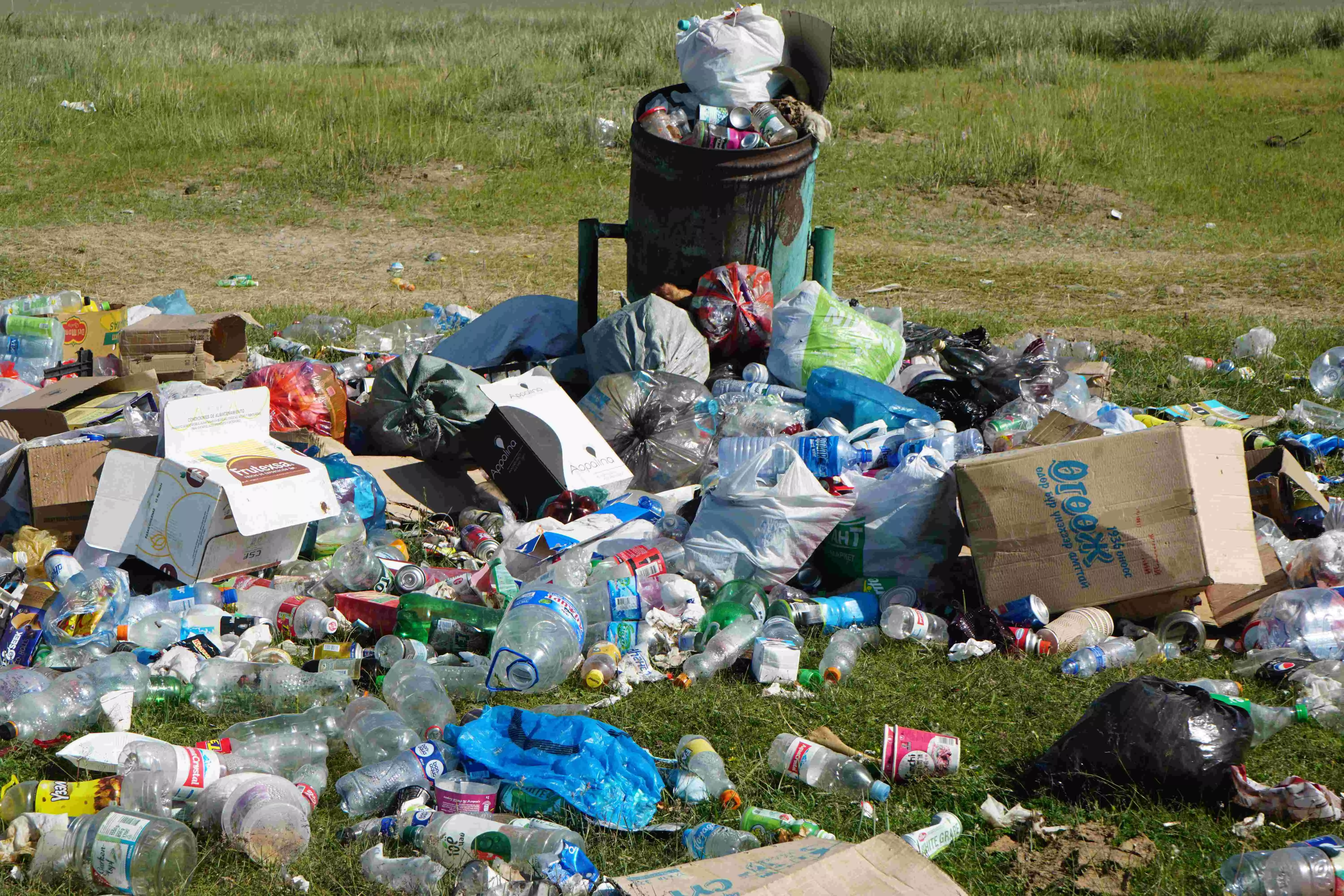 Battling the plastic peril