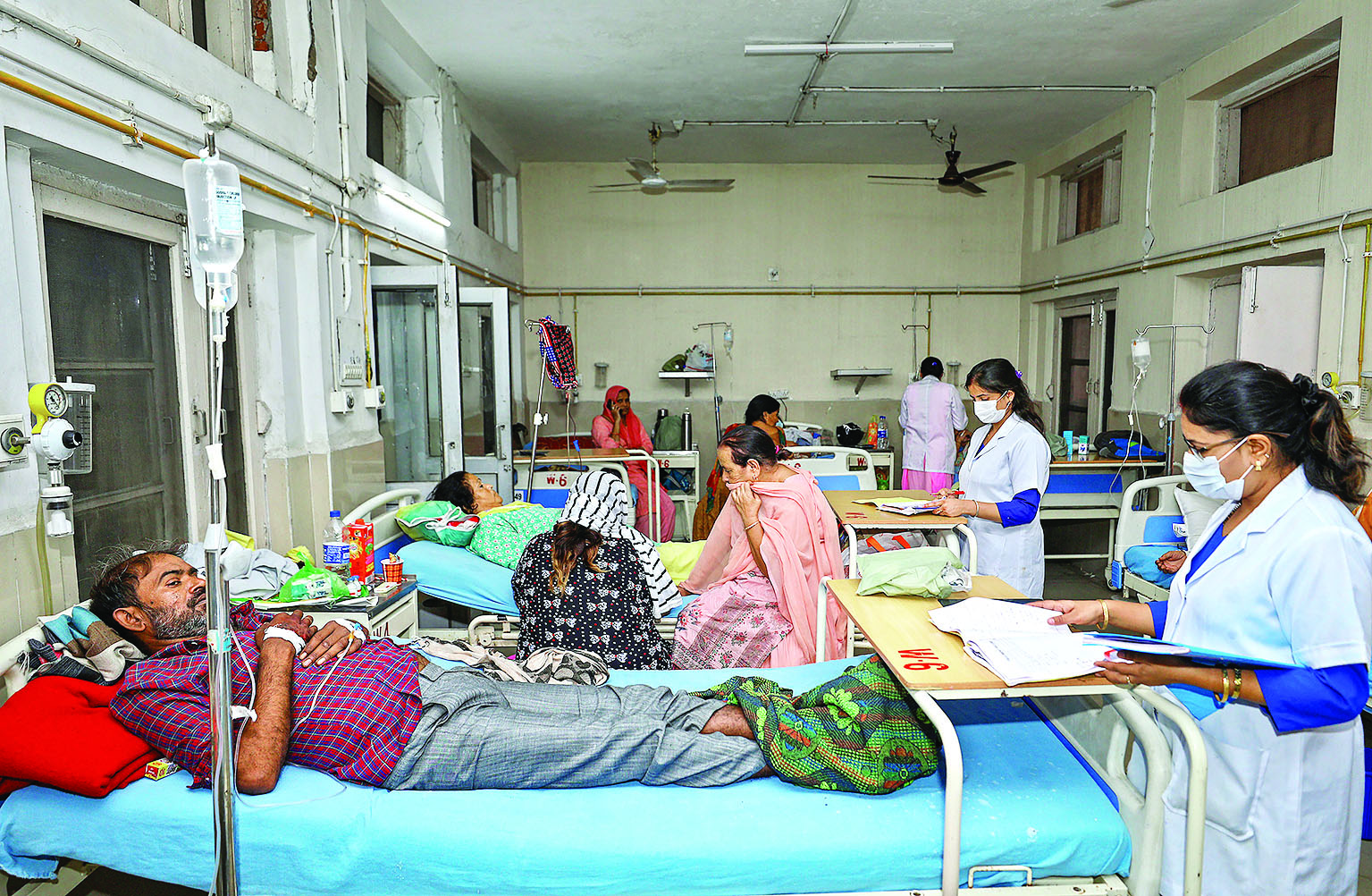 Dengue combat: State to hold special drive on Oct 15 and 16