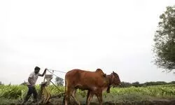 The profit paradox The profit paradox