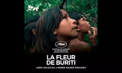 DIFF announces initial line-up featuring Ri and The Buriti Flower