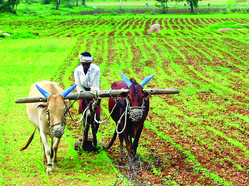 State govt to release Rs 197 cr to 2.46 lakh farmers: CM State govt to release Rs 197 cr to 2.46 lakh farmers: CM