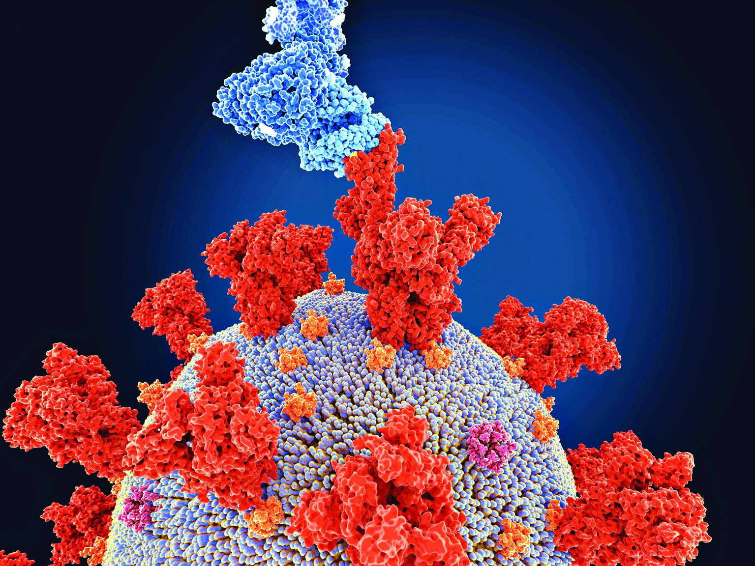Children infected with Omicron Covid variant remain infectious for 3 days: Study