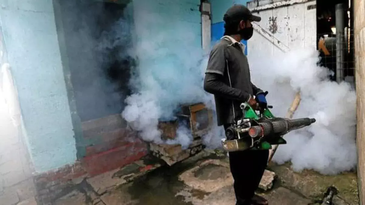 Delhi: Proposal to engage domestic breeding checking workers as muti-tasking staff likely to come up in next MCD House Delhi: Proposal to engage domestic breeding checking workers as muti-tasking staff likely to come up in next MCD House