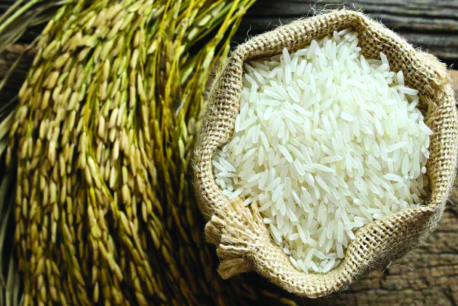 Govt slashes basmati exports floor price to $950 per tonne