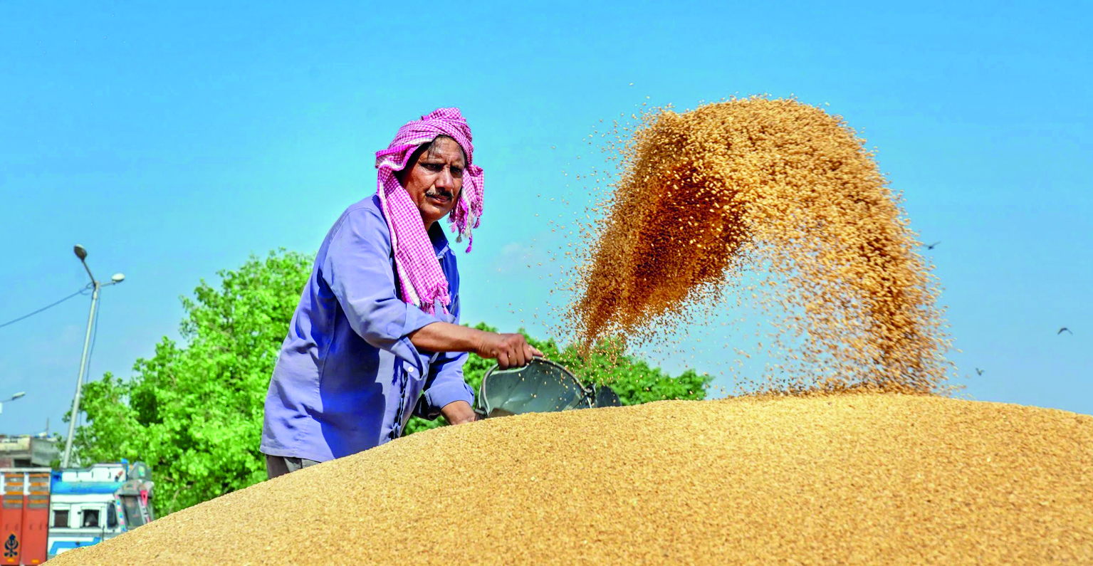 Govt hikes bid quantity to 200 tonne under OMSS wheat to stabilise wheat, flour prices