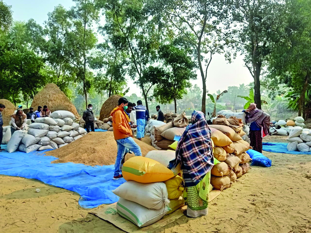 TMC: Centre praises Bengal’s Public Distr System, digitisation of ration cards TMC: Centre praises Bengal’s Public Distr System, digitisation of ration cards