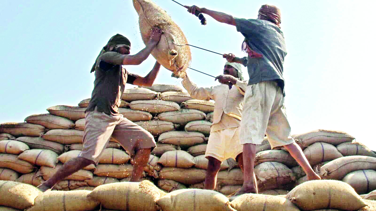 Govt procures 161.47 lakh   tonnes paddy at MSP so far