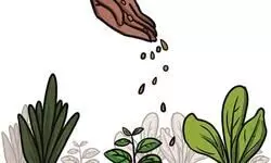 ‘ATM’ agriculture ‘ATM’ agriculture